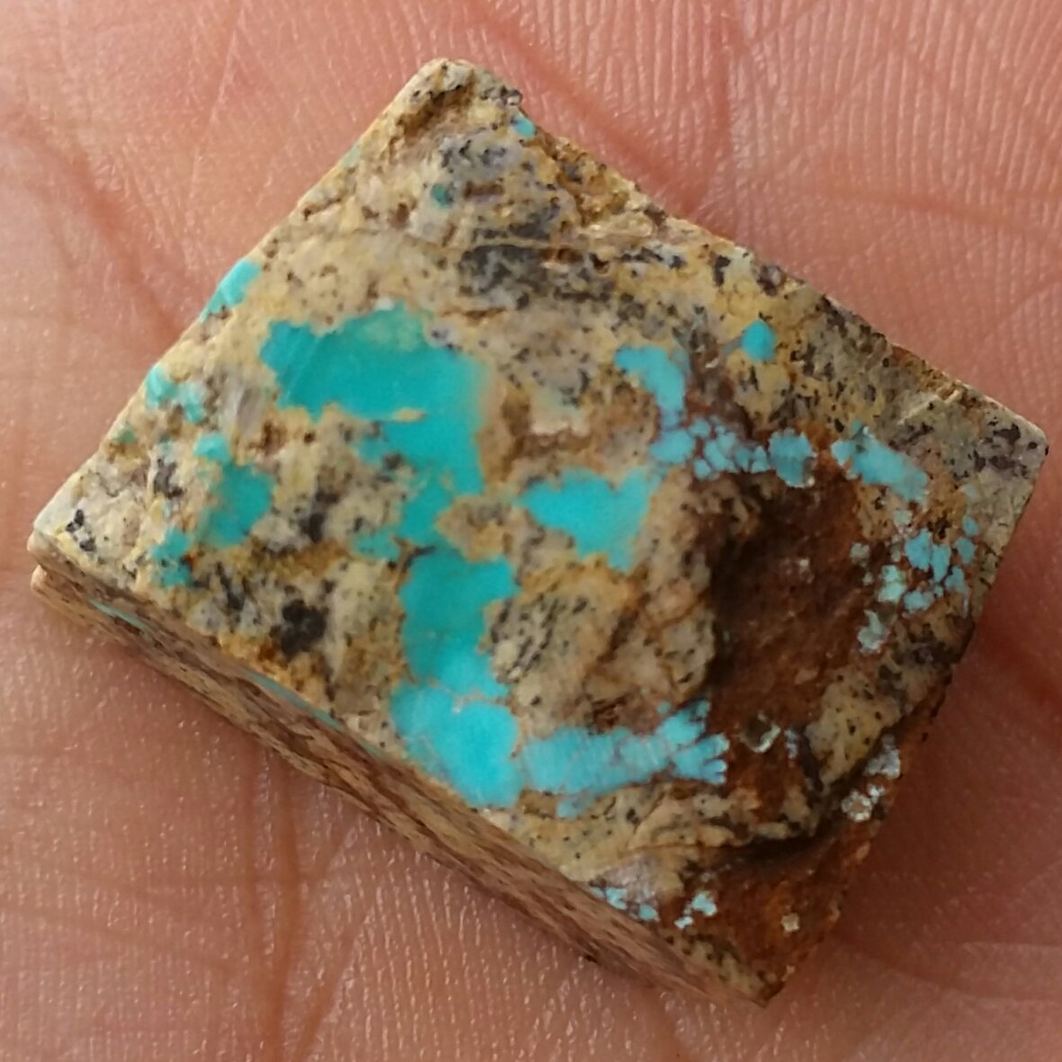 اسلایس سنگ راف فیروزه دو رنگ خارق العاده زیبا اصل نیشابور 100 در 100 طبیعی شاهکار خلقت
مناسب جهت دکور و ساخت نگین
