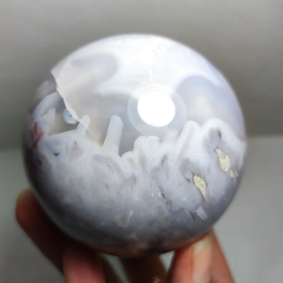 گوی عقیق شجر دریایی