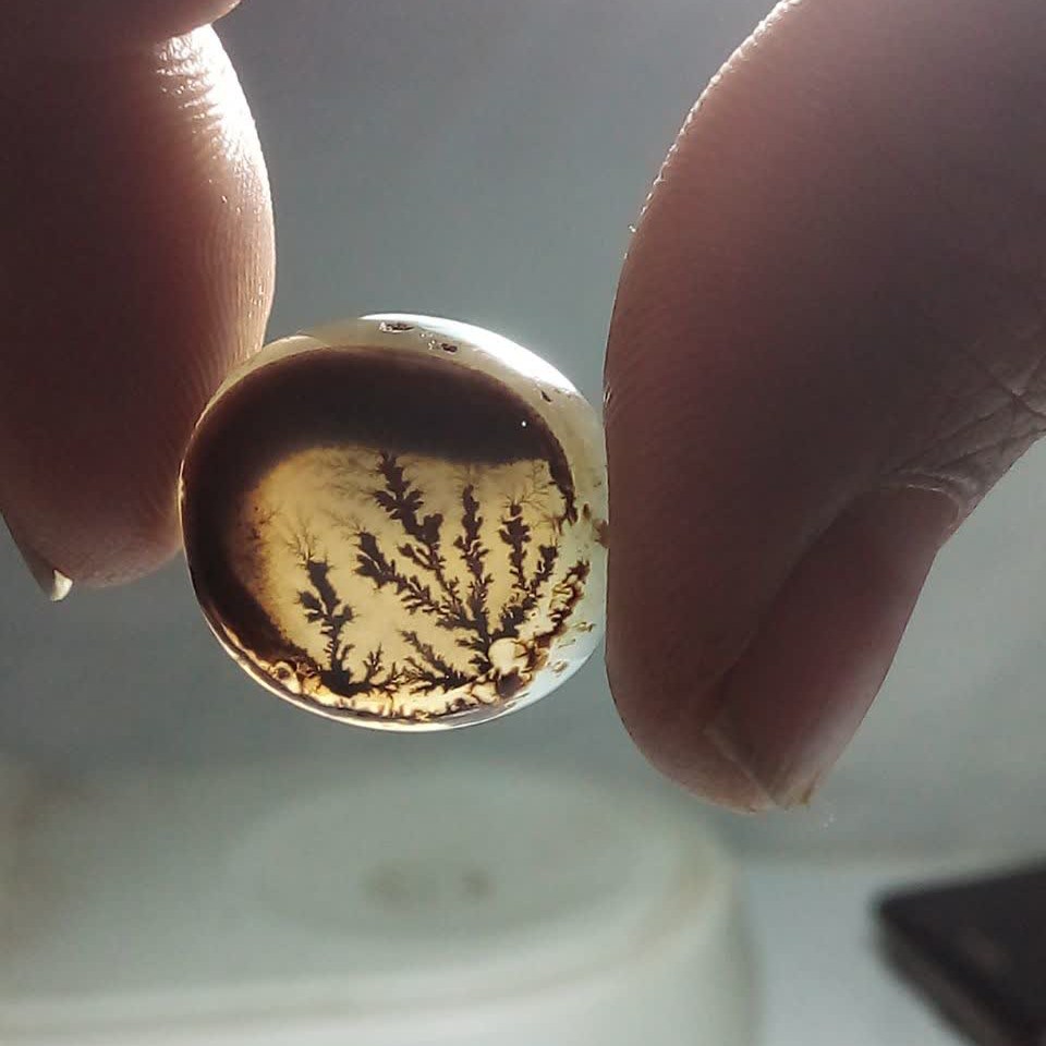 عقیق شجر  قائن تک درخت شفاف و شیشه ای 