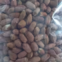 بادام زمینی خام درجه یک تازه و امسالی 1500 گرمی محصول  1401  