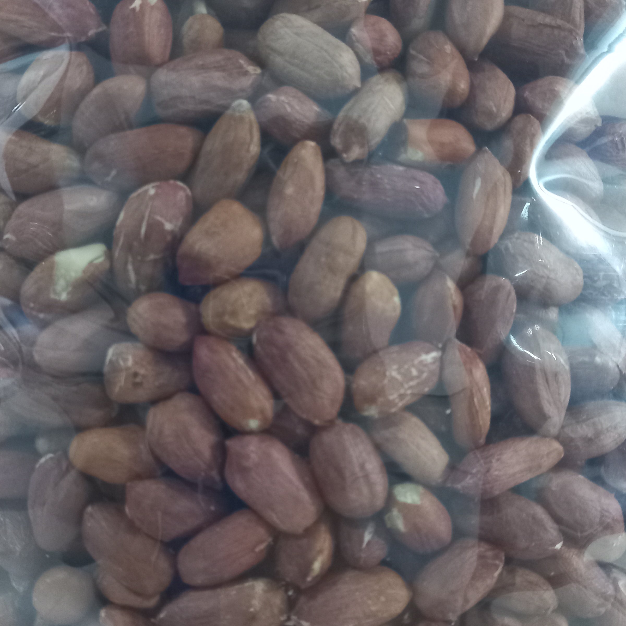 بادام زمینی خام درجه یک تازه و امسالی 1500 گرمی محصول  1401  