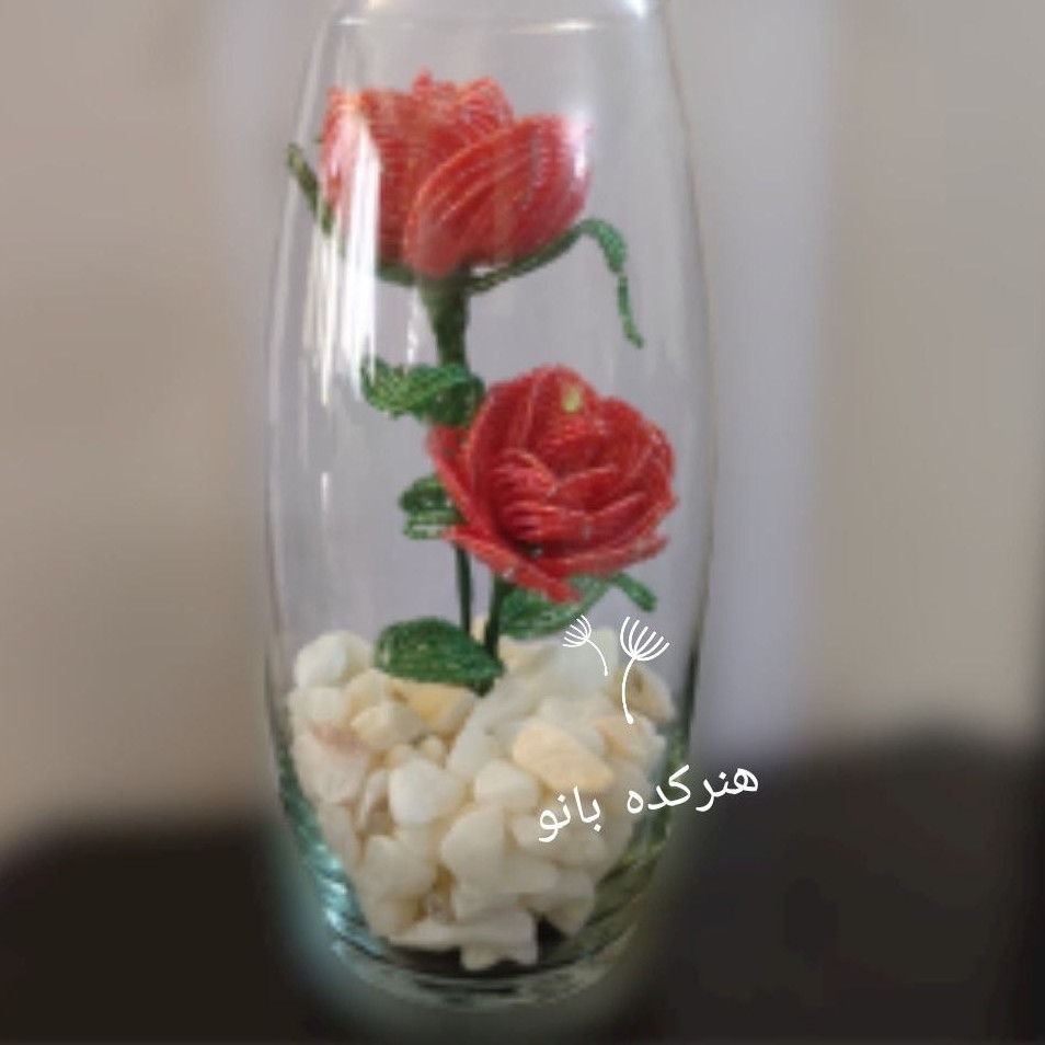 گل  رز منجوقی