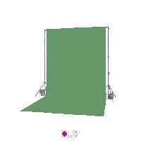 فون عکاسی کاغذی سبز تیره کد 31 Superior Seamless