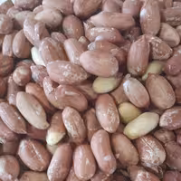 بادام زمینی