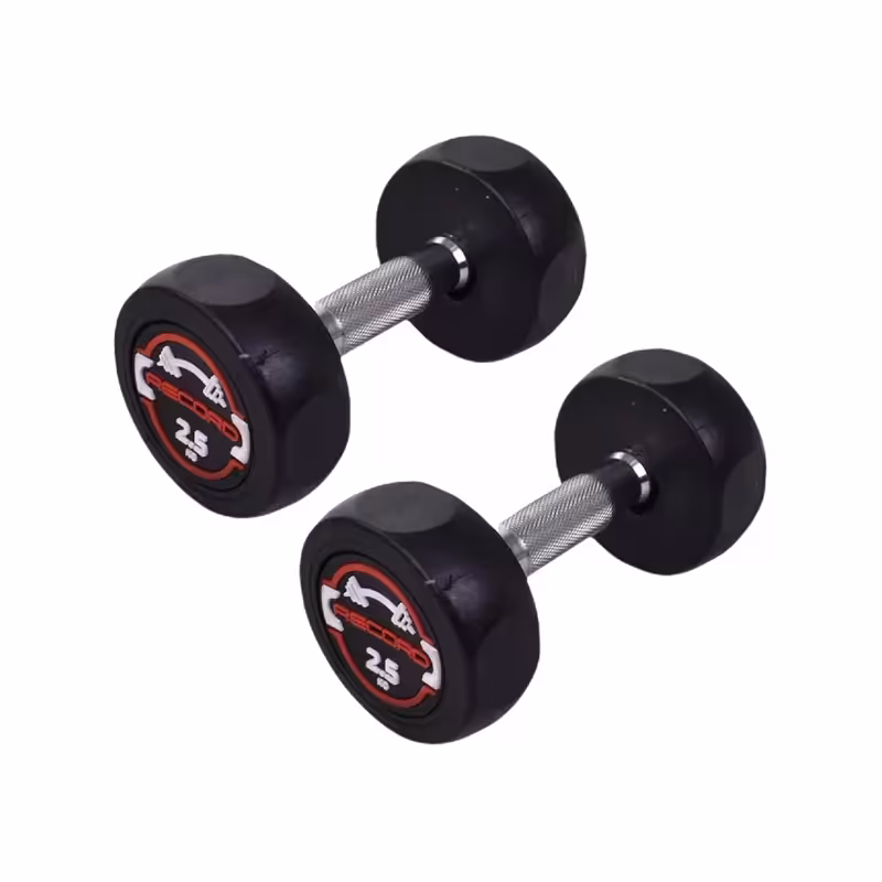 دمبل گرد استوپ دار 2.5 کیلوگرمی Record بسته دو عددی