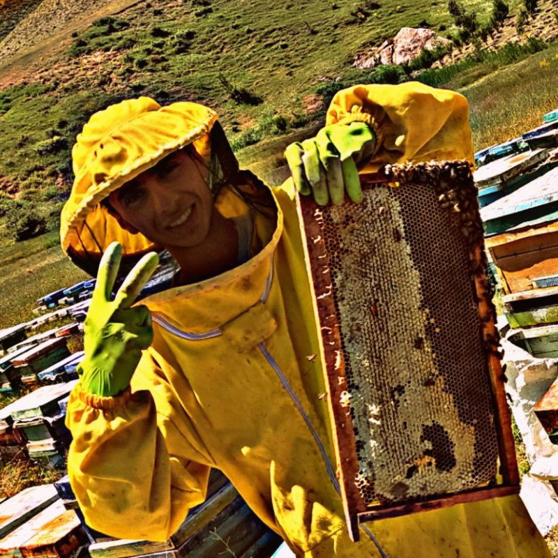 عسل موم دار گون