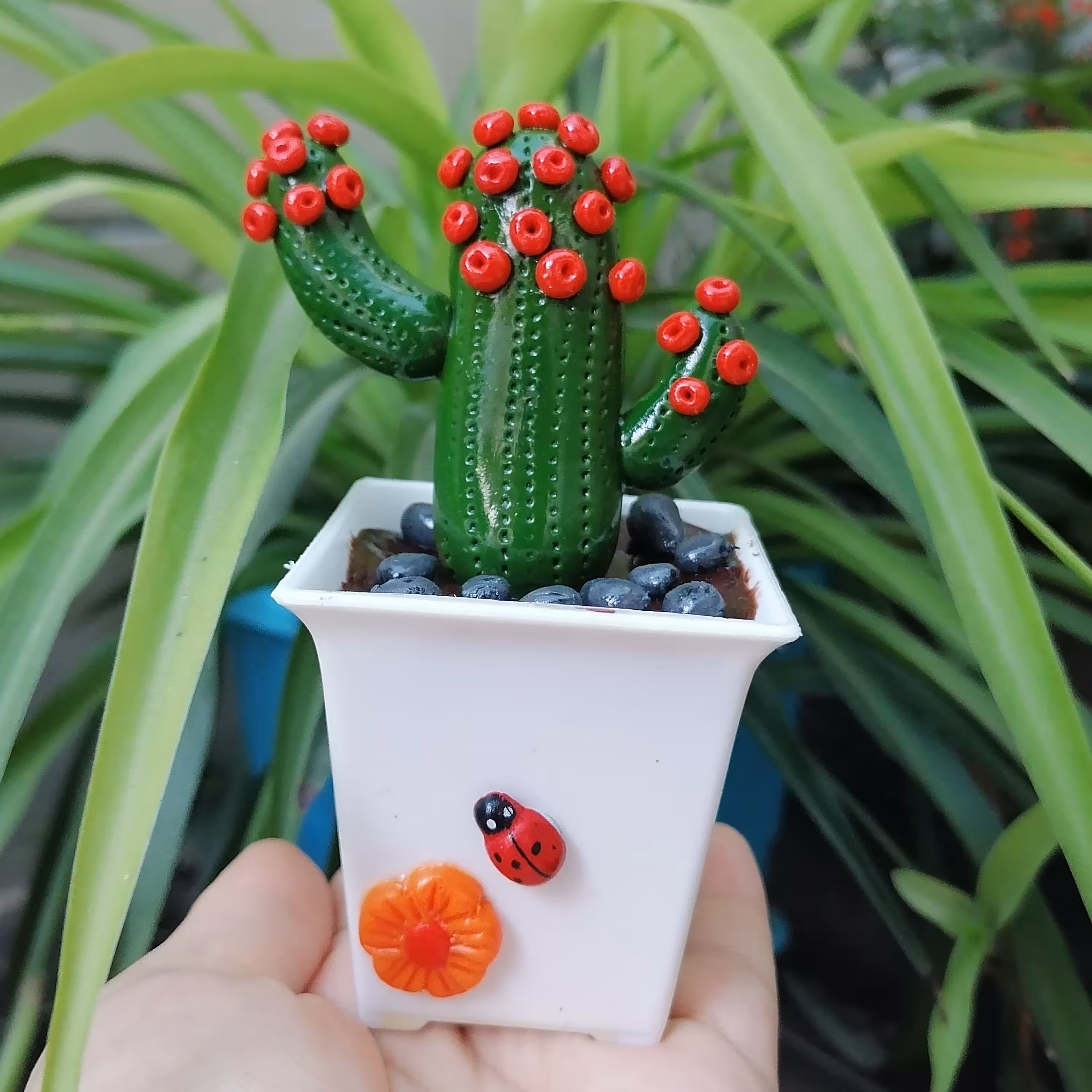 گلدان کاکتوس 