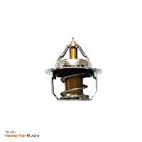 ترموستات کیا ریو چین