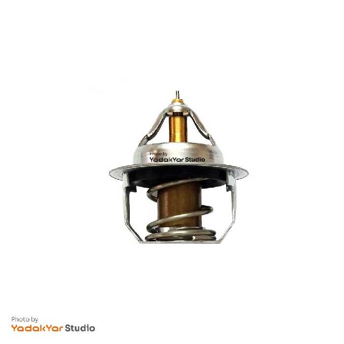 ترموستات کیا ریو چین