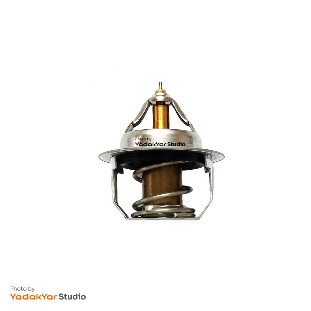 ترموستات کیا ریو چین