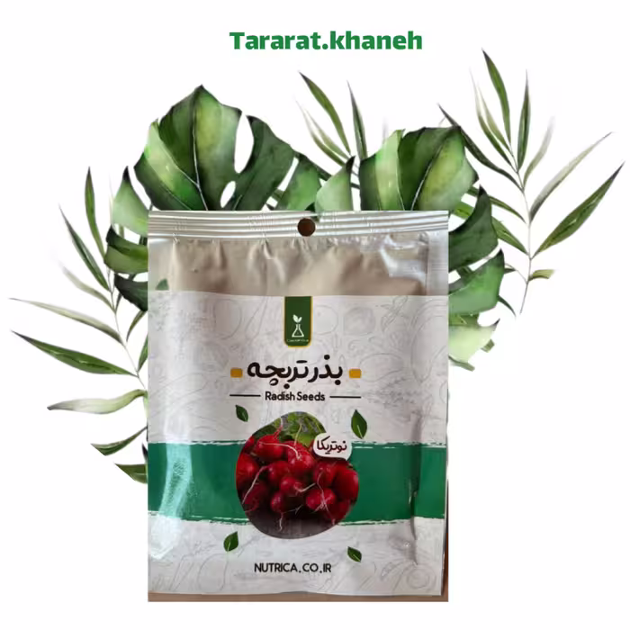بذر  تربچه