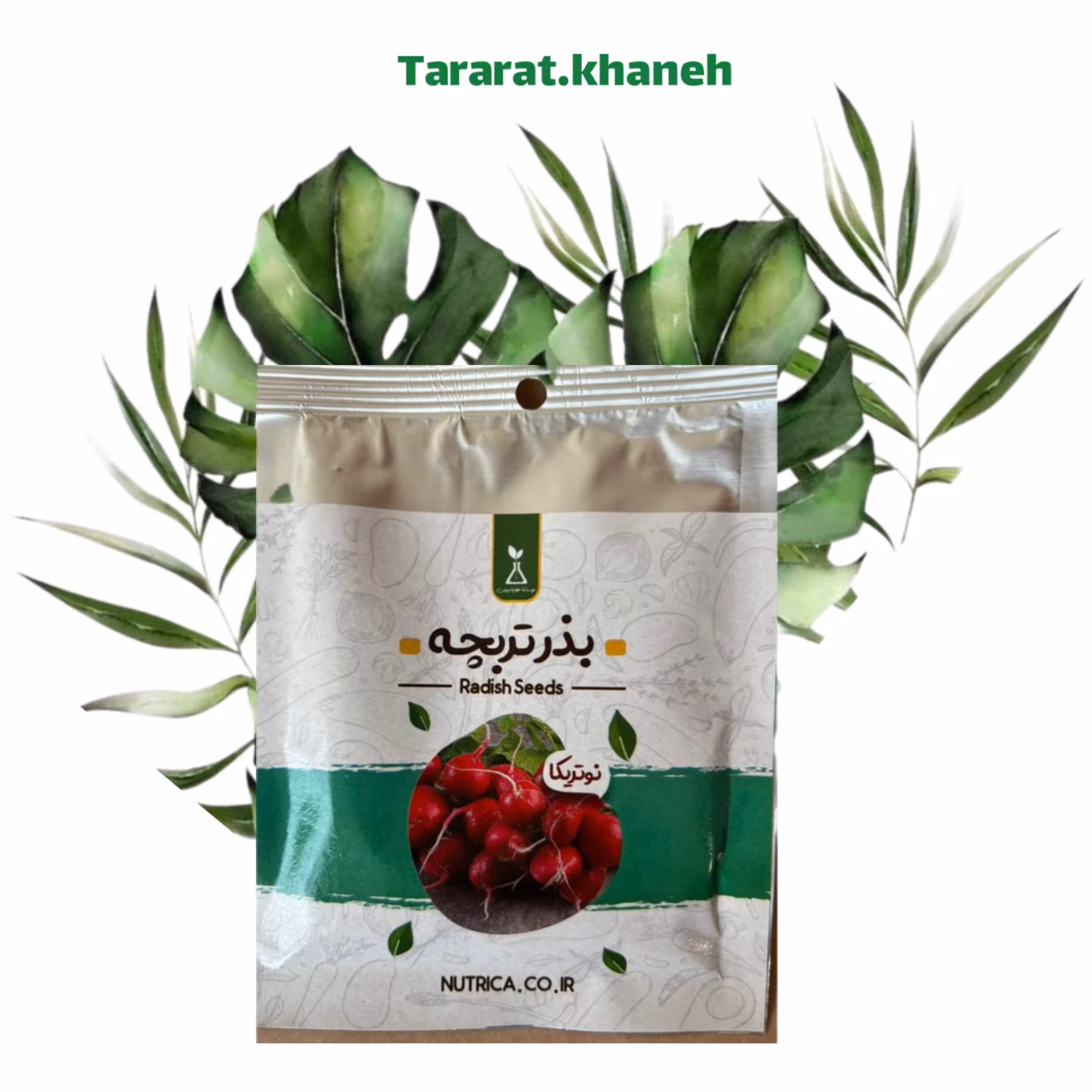 بذر  تربچه