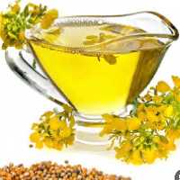 روغن کانولا یا کنزا