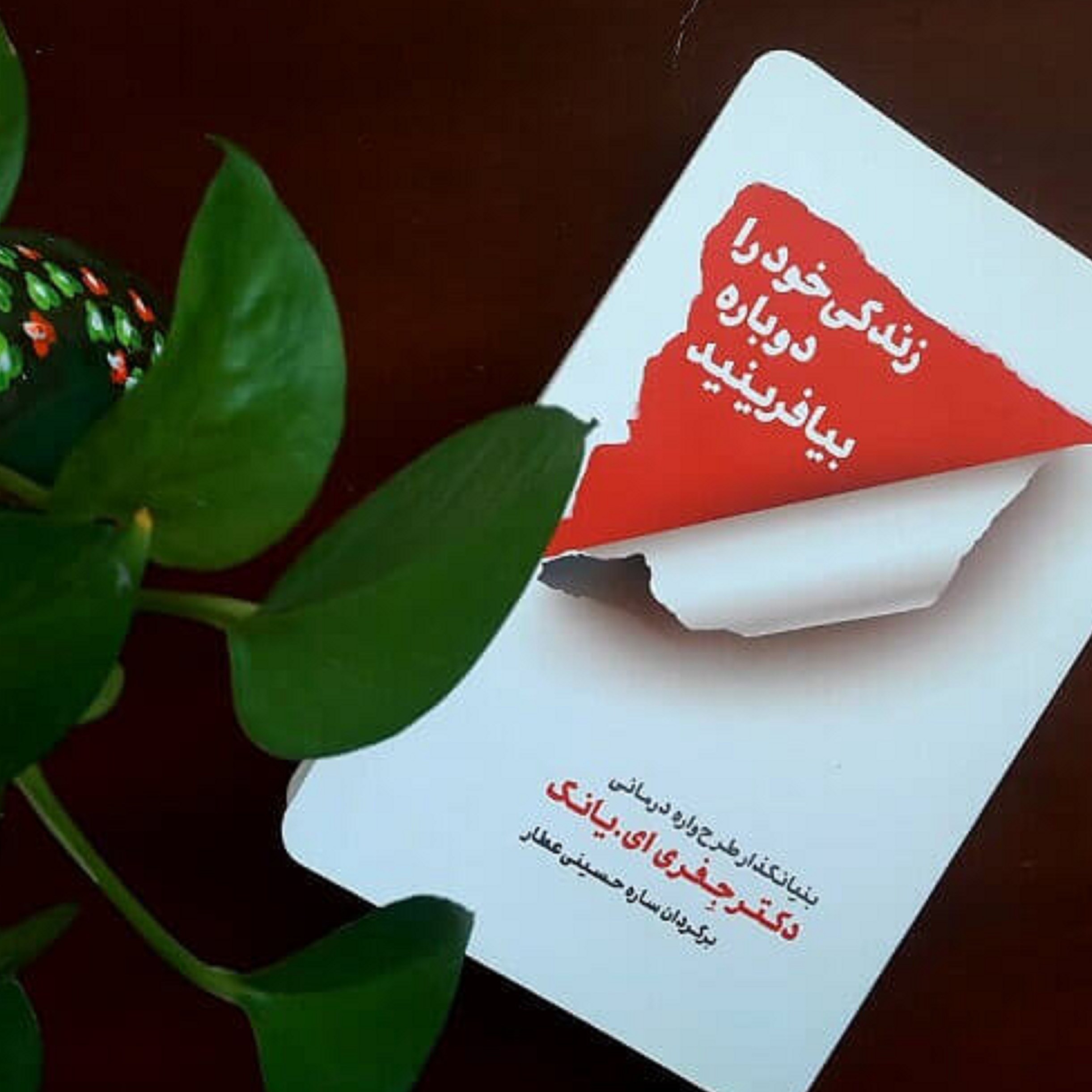 کتاب زندگی خود رادوباره بیافرینید 