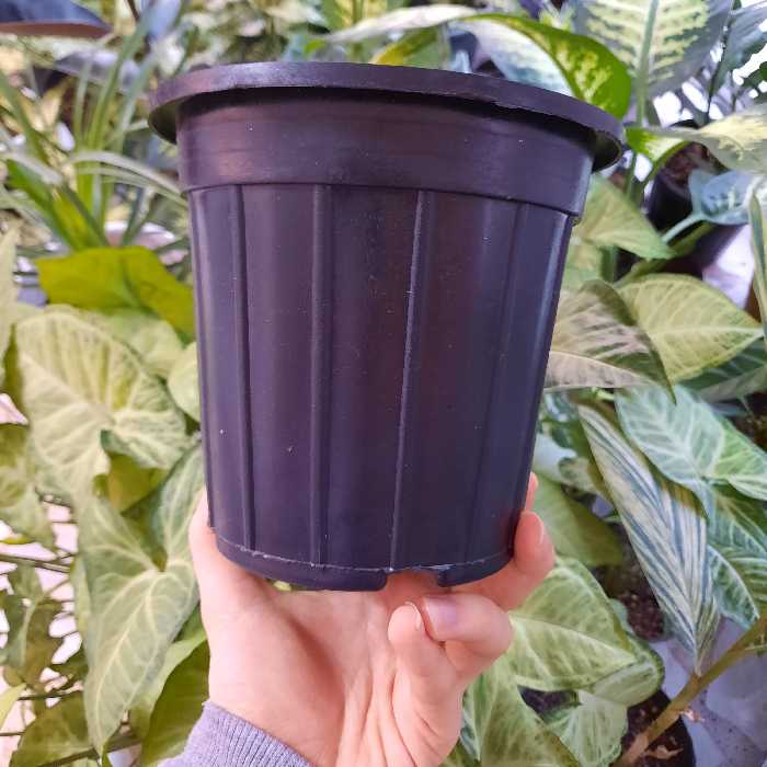 گلدان پلاستیکی سطل 3