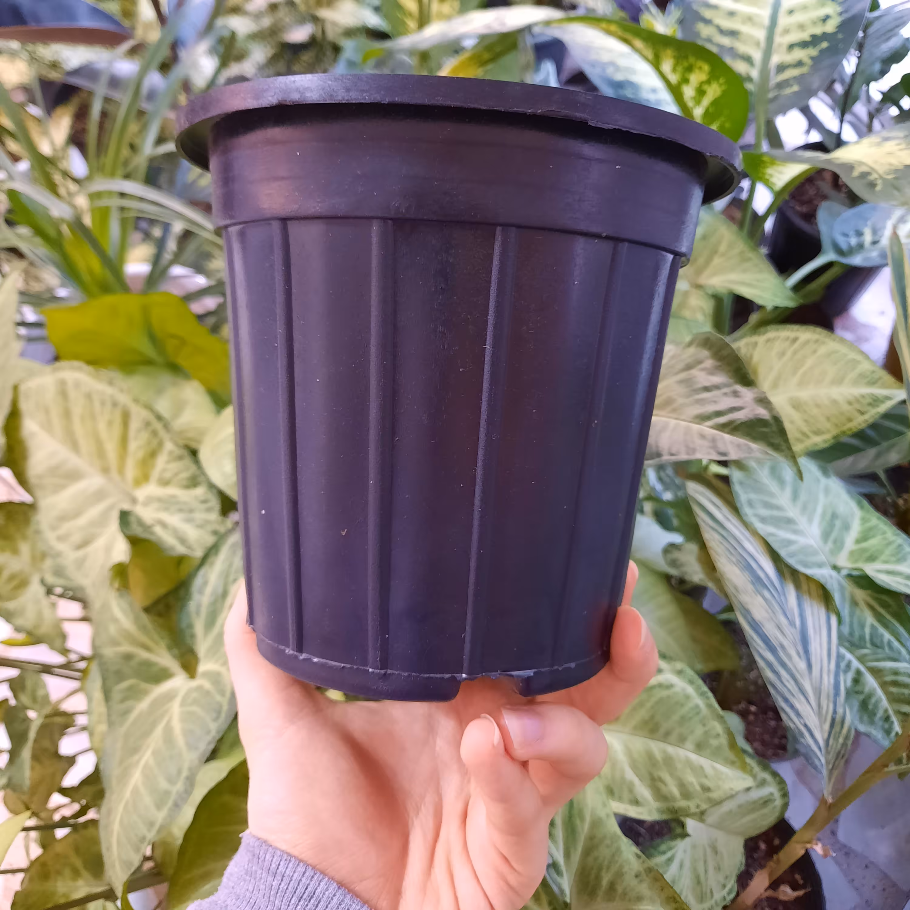 گلدان پلاستیکی سطل 3