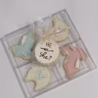 پک 5 عددی کوکی وانیلی با روکش رویال آیسینگ طرح تعیین جنسیت با تزیین فوندانت