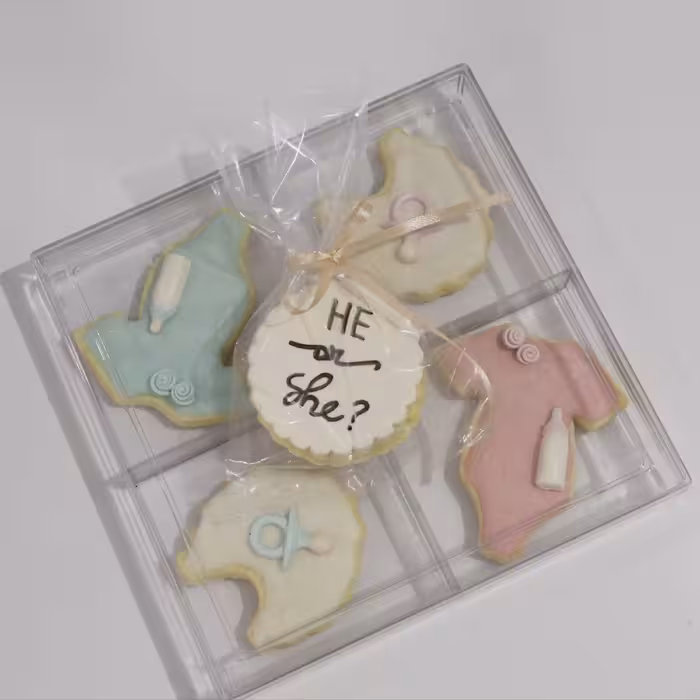 پک 5 عددی کوکی وانیلی با روکش رویال آیسینگ طرح تعیین جنسیت با تزیین فوندانت