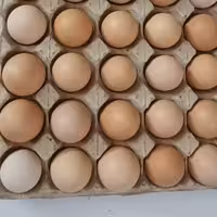 تخم مرغ محلی گلپایگان 30عدد