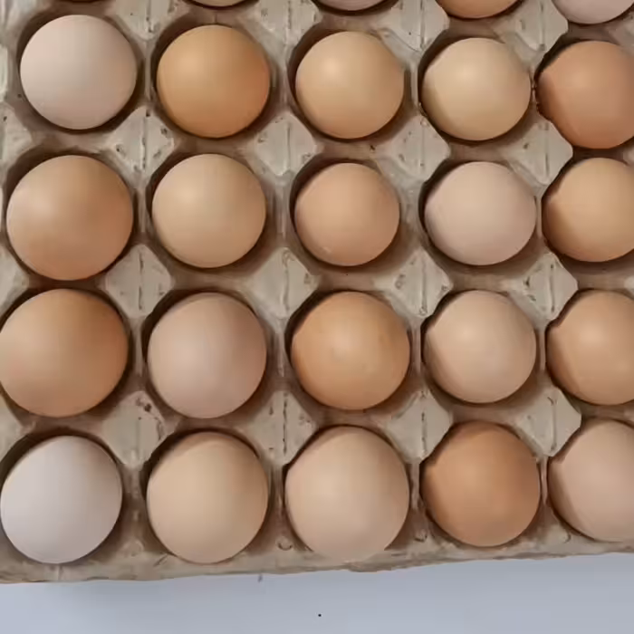 تخم مرغ محلی گلپایگان 30عدد