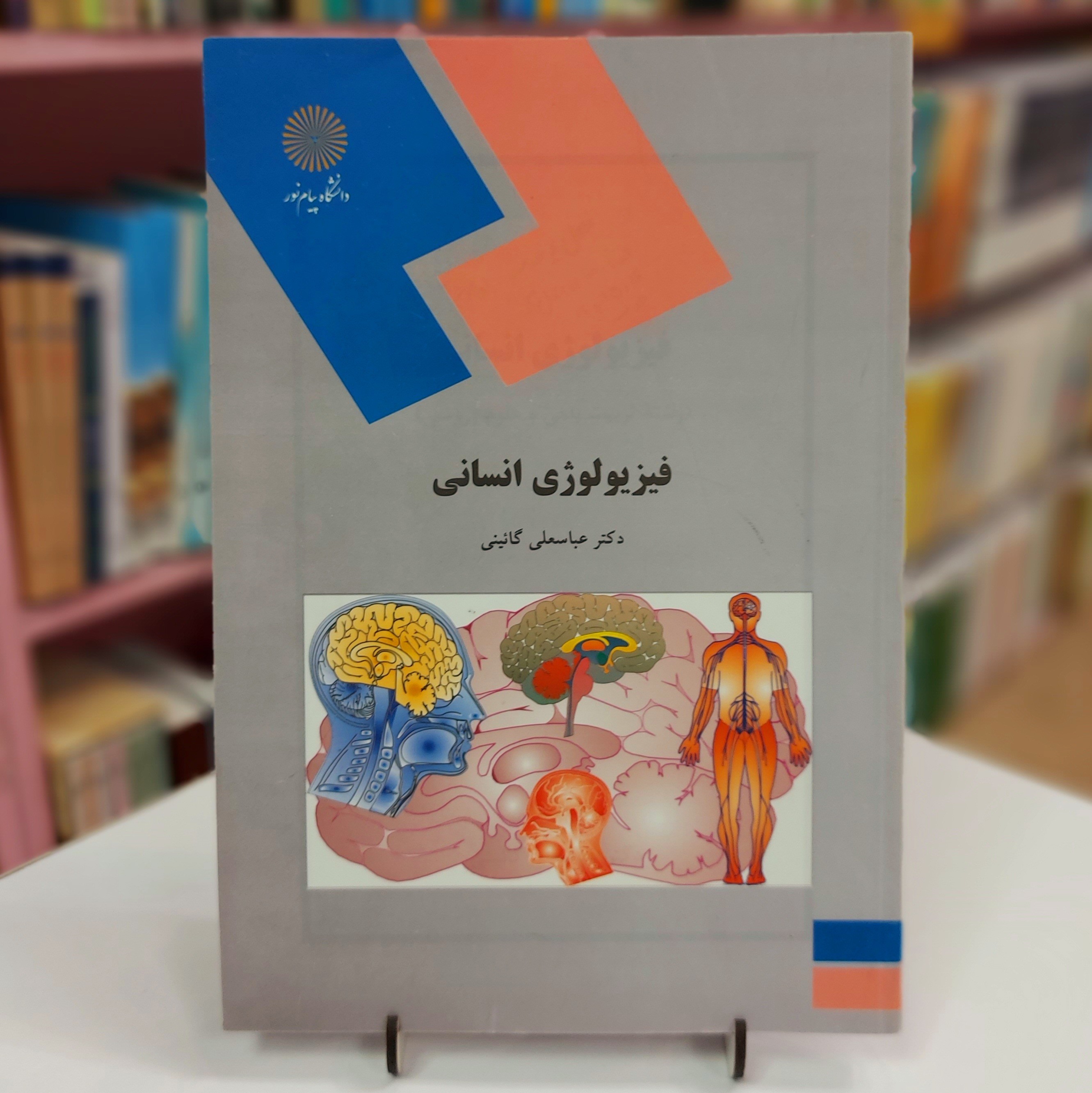 فیزیولوژی انسانی دست دو
