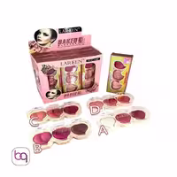 پالت رژگونه و هایلایتر 3 رنگ لارن lareen - خرید رژگونه خارجی