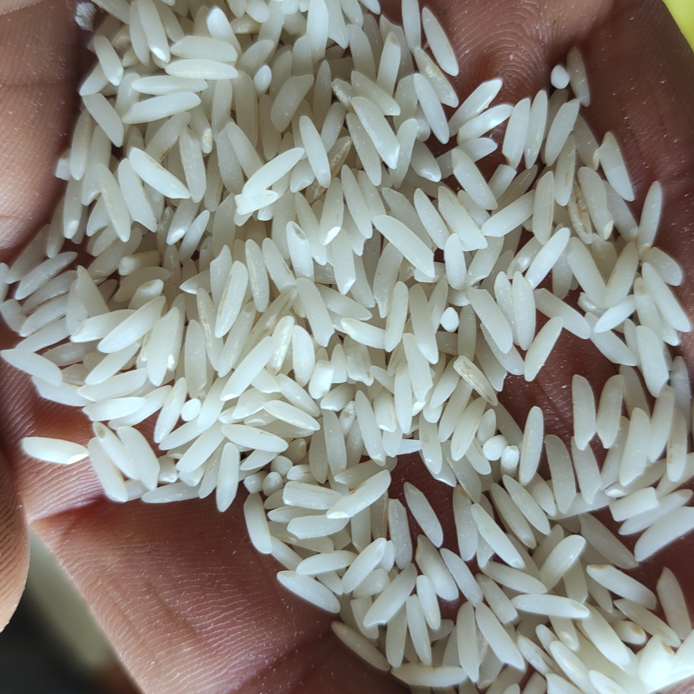 برنج طارم هاشمی