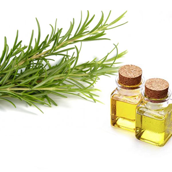 روغن ترخون 30 سی سی (مناسب درد مفاصل .رماتیسم )