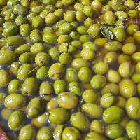 زیتون شکسته شور در بسته های 5 کیلویی