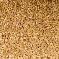 کنجدسفید  وارداتی 1000 گرم