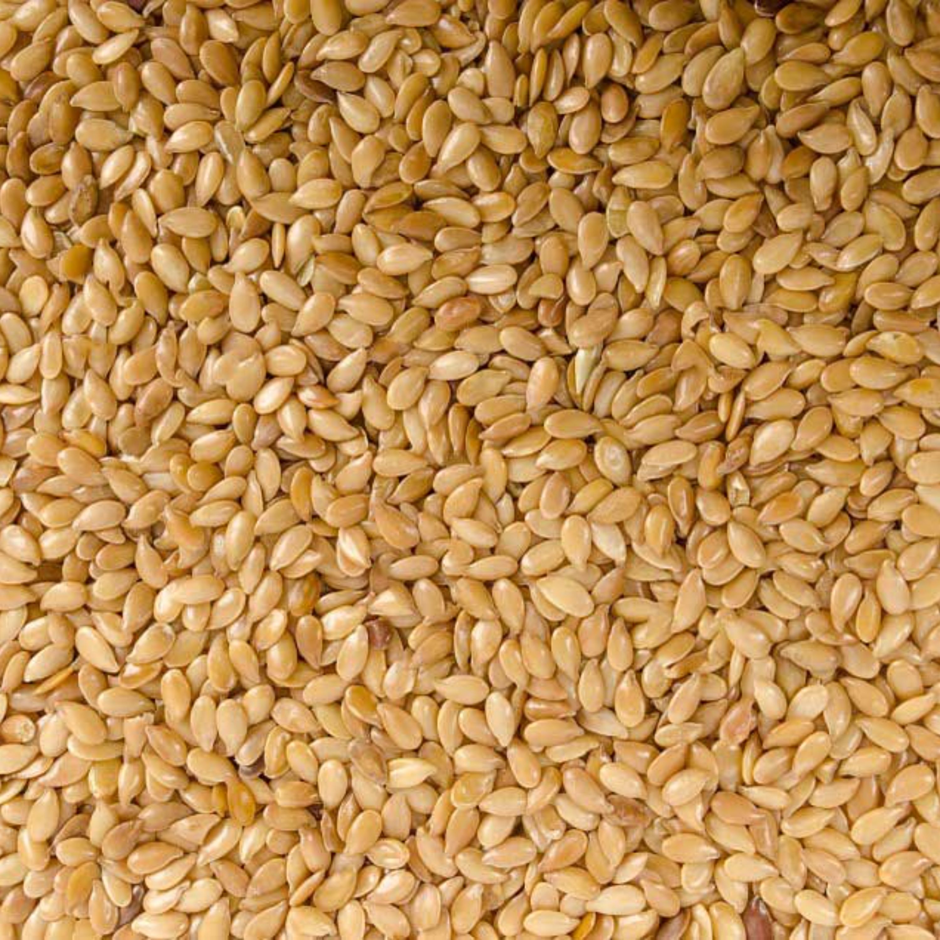 کنجدسفید  وارداتی 1000 گرم