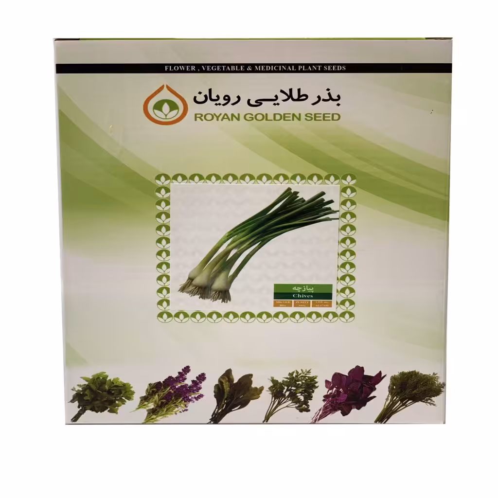 بذر پیازچه 1 کیلویی - بذر طلایی رویان