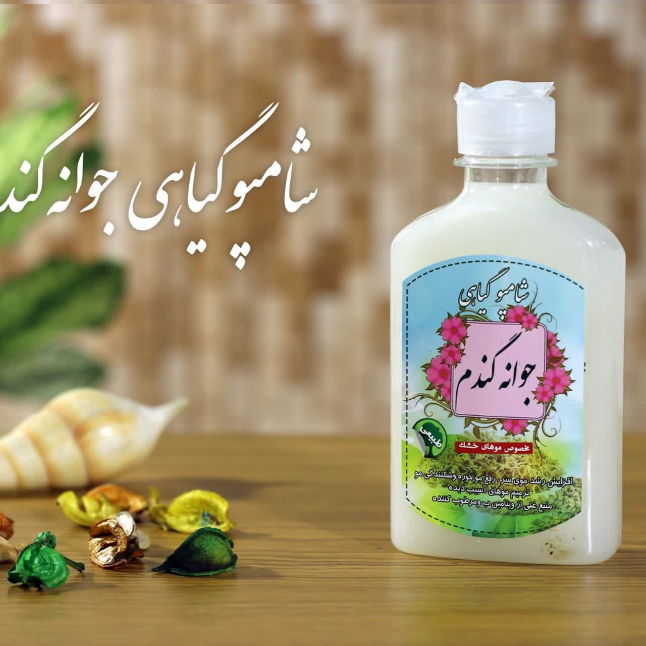 شامپو گیاهی جوانه گندم برکت (تقویت مو)(مناسب موهای خشک)