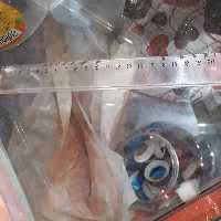 خط کش معمولی کد 001 مدرسه