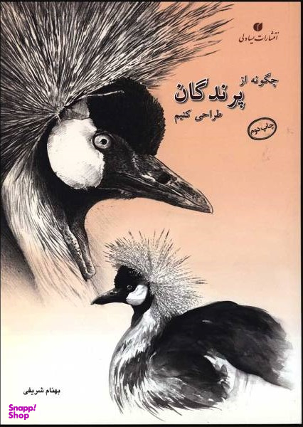 چگونه از پرندگان طراحی کنیم