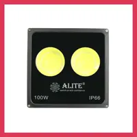 پرژکتور سی او بی 100 وات الیت رنگ مهتابی کد ip65