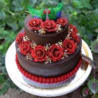 تزیین سینی کیک  حنای مراسم حنابندان  (حنا آرایی)