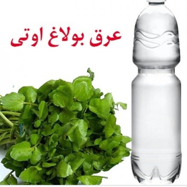 عرق بولاغ اوتی یک لیتری کاهش فشار خون