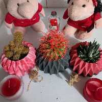 گلدان سنگی در سایز ومدلهای مختلف