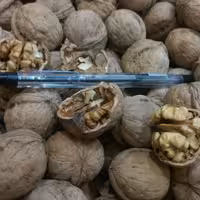 گردو کوهستانی ارگانیک(700گرم)