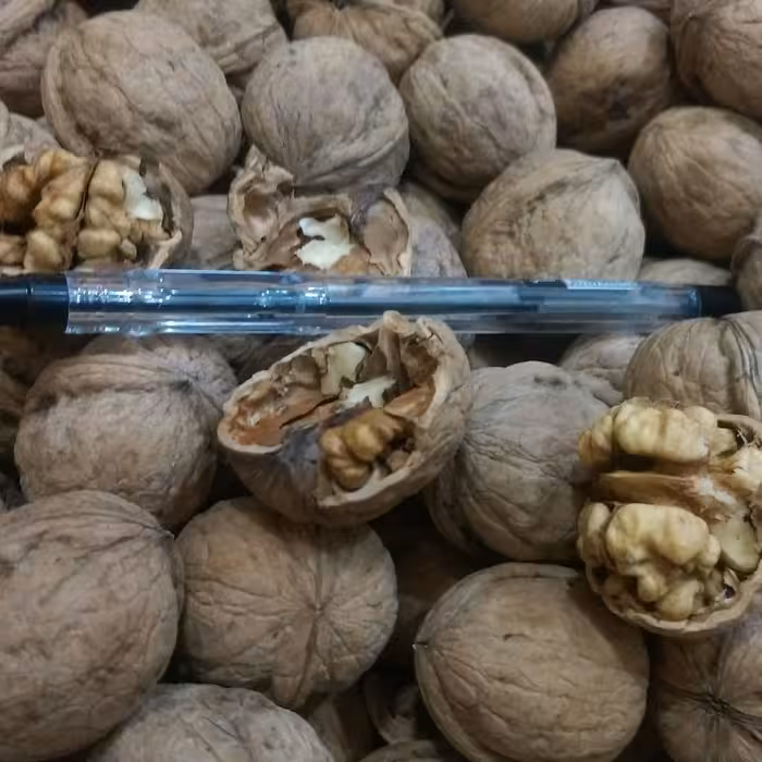 گردو کوهستانی ارگانیک(700گرم)