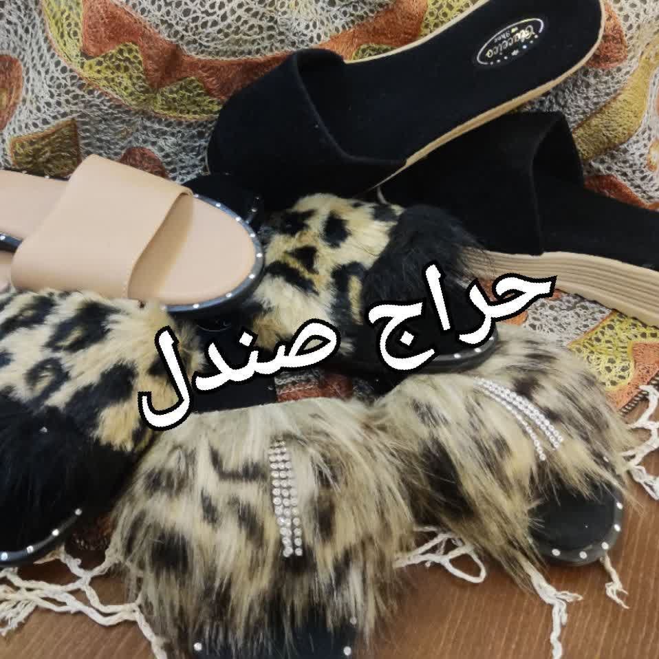 صندل 🌹