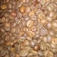 دان قهوه 60 روبستا40 عربیکا