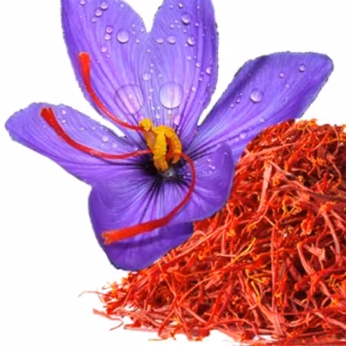 زعفران_خاکستر کل