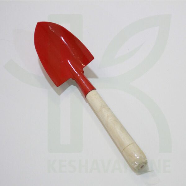 بیلچه کاکتوسی