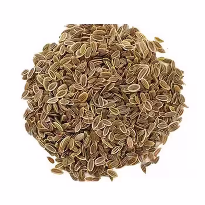 بذر سبزی شوید فله