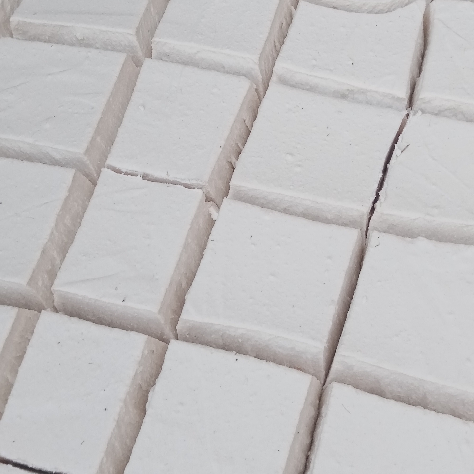 کشک گاوی(1کیلو) 