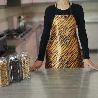 پیشبند شاینی