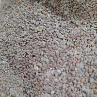 قدومه شهری یک کیلویی