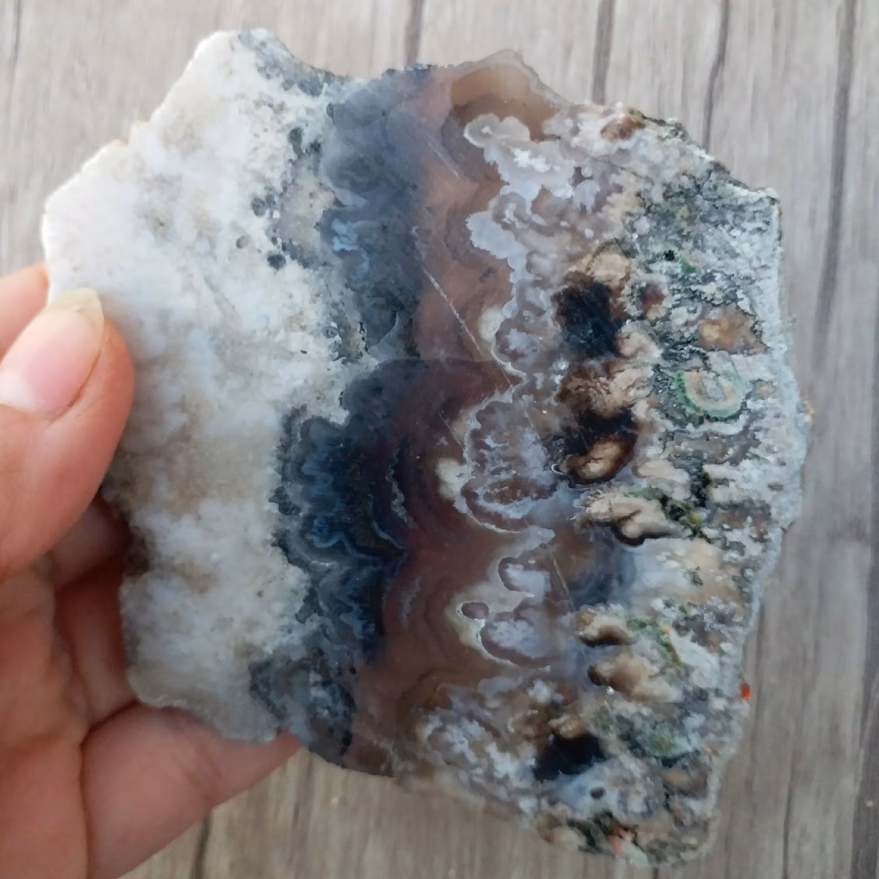 اسلایس عقیق شجر  اصل با درختان واضح و کشیده مناسب دکور و یا ساخت نگین معدنی و اصل با رنگ طبیعی و خواص بسیار